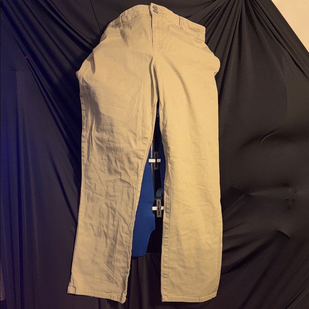 Dickies Straight Leg Pants in Light Khaki